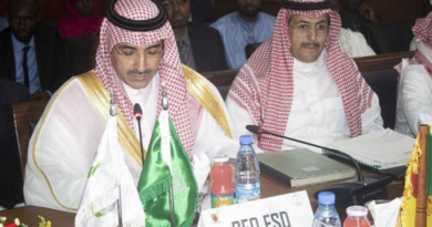 Arabie Saoudite sante