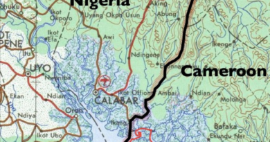 Cameroun Nigeria Frontiere
